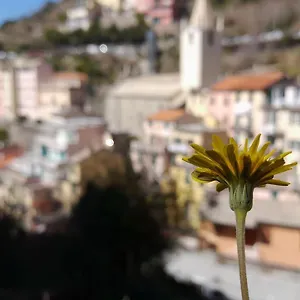 https://casa-vacanze-riomaggiore.hotelitalianriviera.com